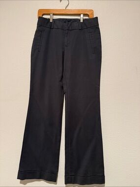 Banana Republic Wide Leg Pants in Navy Blue